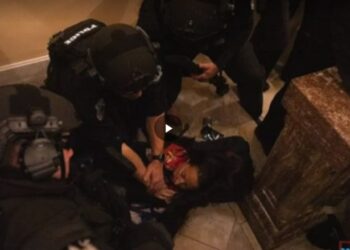 ASHLI BABBIT SHOOTING FALSE FLAG!