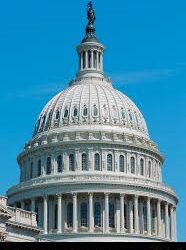 U.S. LAW =FALSE DOUBLE-SPEAK
