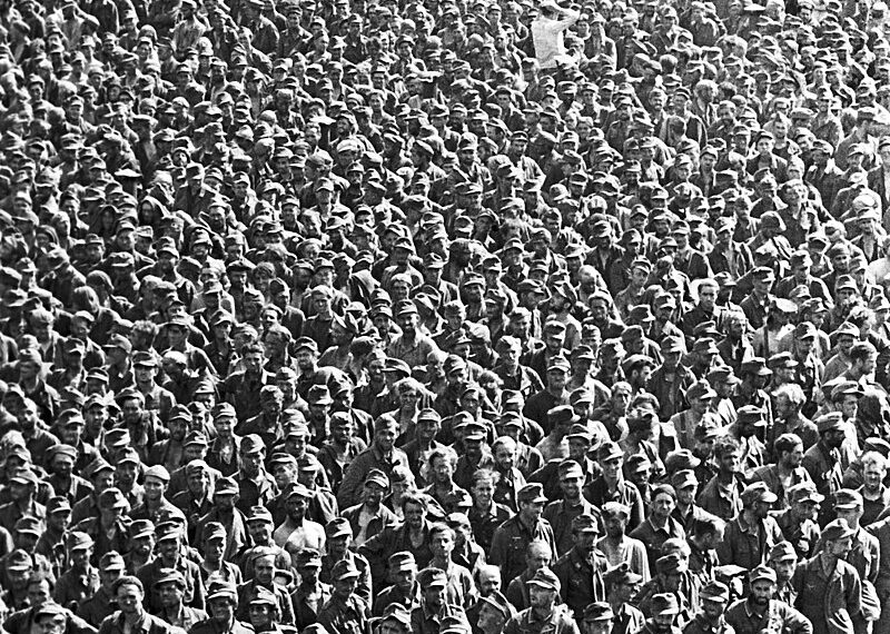 The German Holocaust